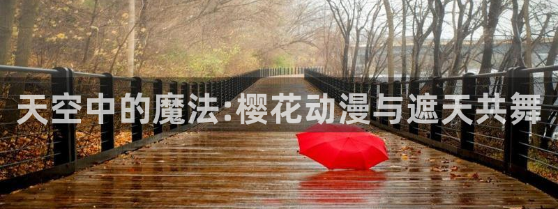 西瓜视频在