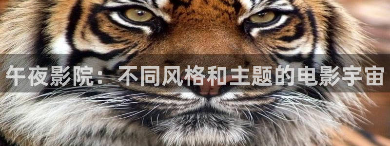 西瓜视频在线观看电视