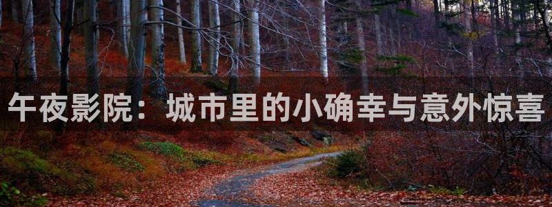 新西瓜视频