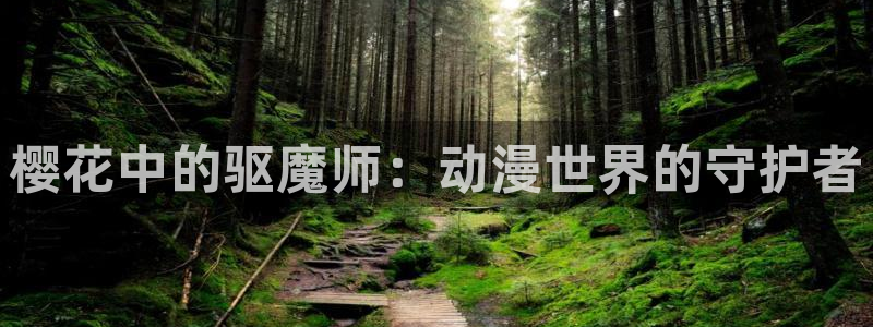 星空影视最新版本