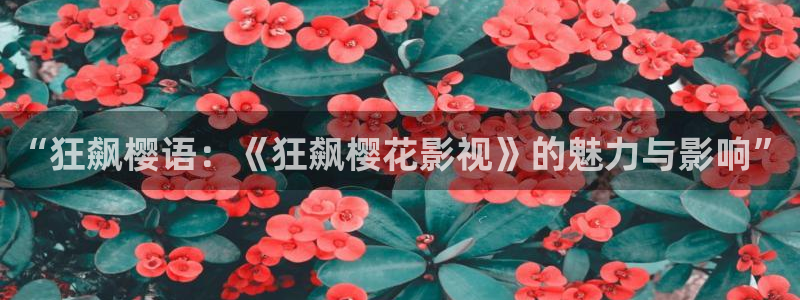 星空电影影院在线观看