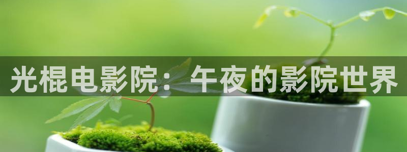 西瓜视频电影电视剧