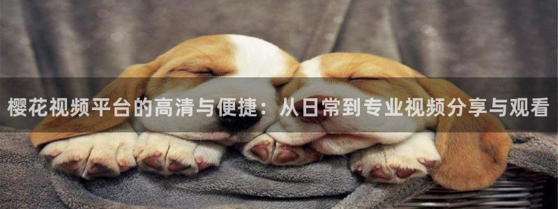 西瓜视频电影院