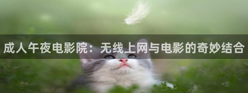 娄底星空影城今日电影