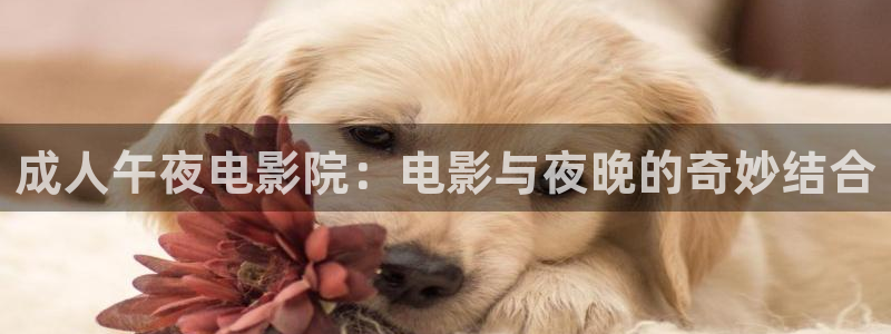 西瓜视频在线观看免费观