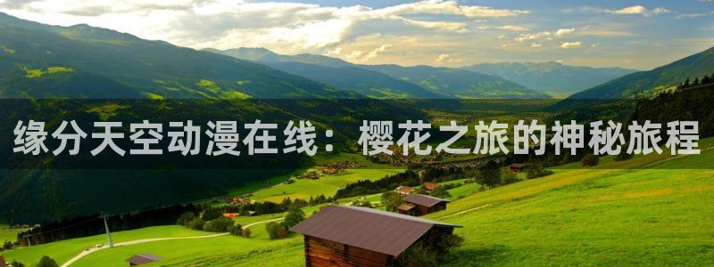 纳雍星空影城