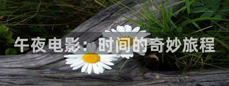 西瓜视频电视剧免费看入口