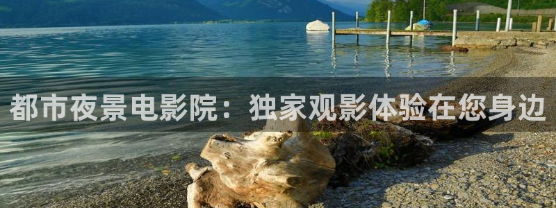 星空视频在线观看免费播放电视剧