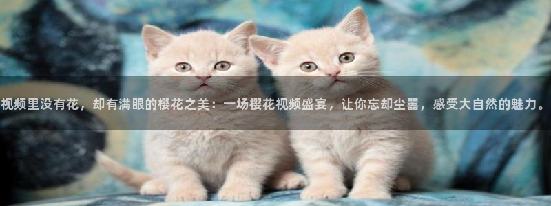 夏至未至电视剧免费观看完整版西瓜视频