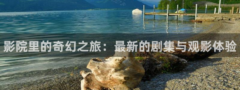 西瓜视频在线观看电影电视剧