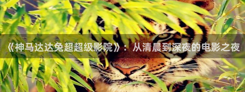 西瓜视频电影大全免费观看高清
