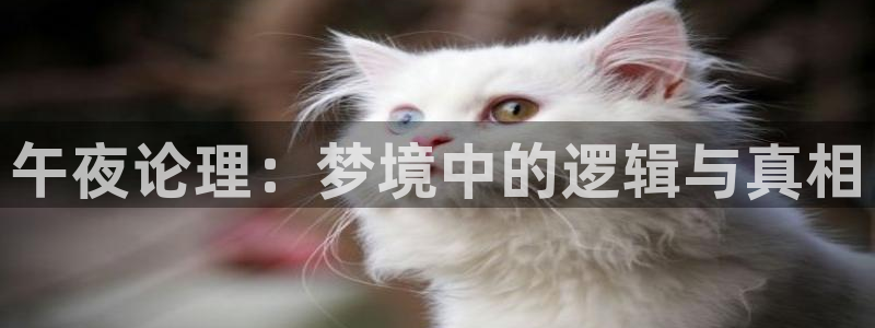 星空动漫免费观看高清完整版