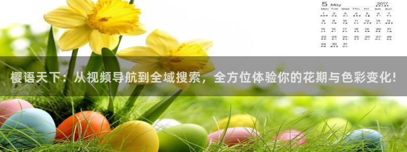星空无痕mv免费视频观看