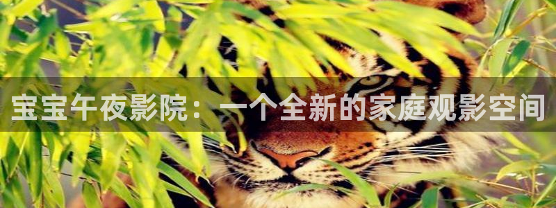星空影视下载