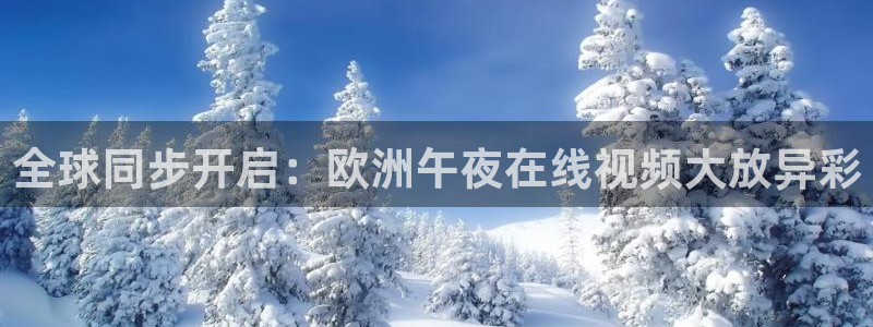 星空影视在线观看入口