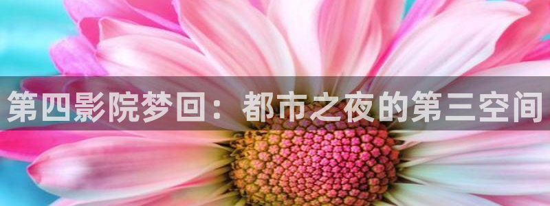 西瓜视频免费版下载