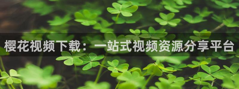 在线影院星空