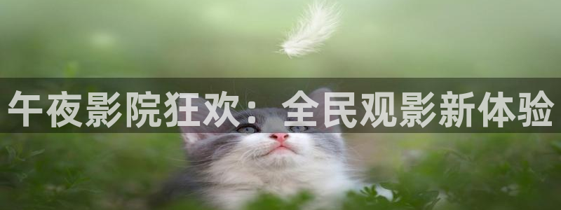 西瓜视频大全在线